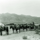 Freighting on the desert with mule team - Courtesy National Park Service, Death Valley National Park